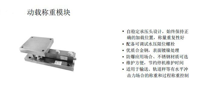 輸送帶用動載稱重模塊